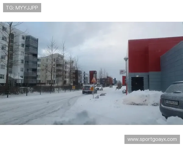 雷克雅未克主场迎战，冰岛队剑指胜利
