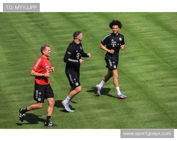 萨内训练法揭秘：如何通过科学训练打造职业球员的巅峰状态